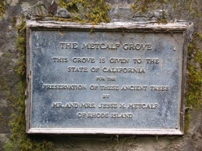 The Metcalf Grove Marker image. Click for full size.