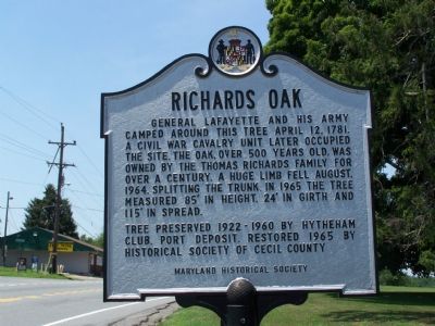 Richards Oak Marker. Click for full size. Richards Oak Marker image. Click for full size.