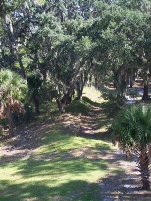 Fort McAllister, moat area, north side. Click for full size. Fort McAllister, moat area, north side image. Click for full size.