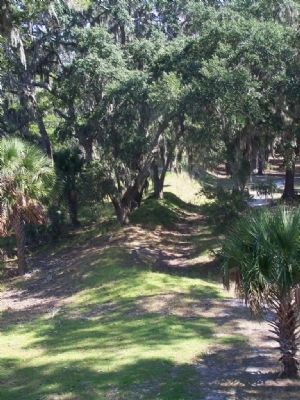 Fort McAllister, moat area, north side image. Click for full size.