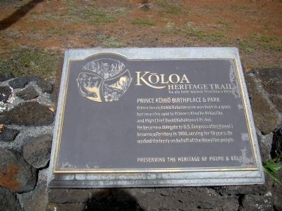 Prince Kūhiō Birthplace & Park Marker image. Click for full size.