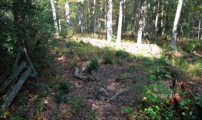 Confederate Earthworks image. Click for full size.