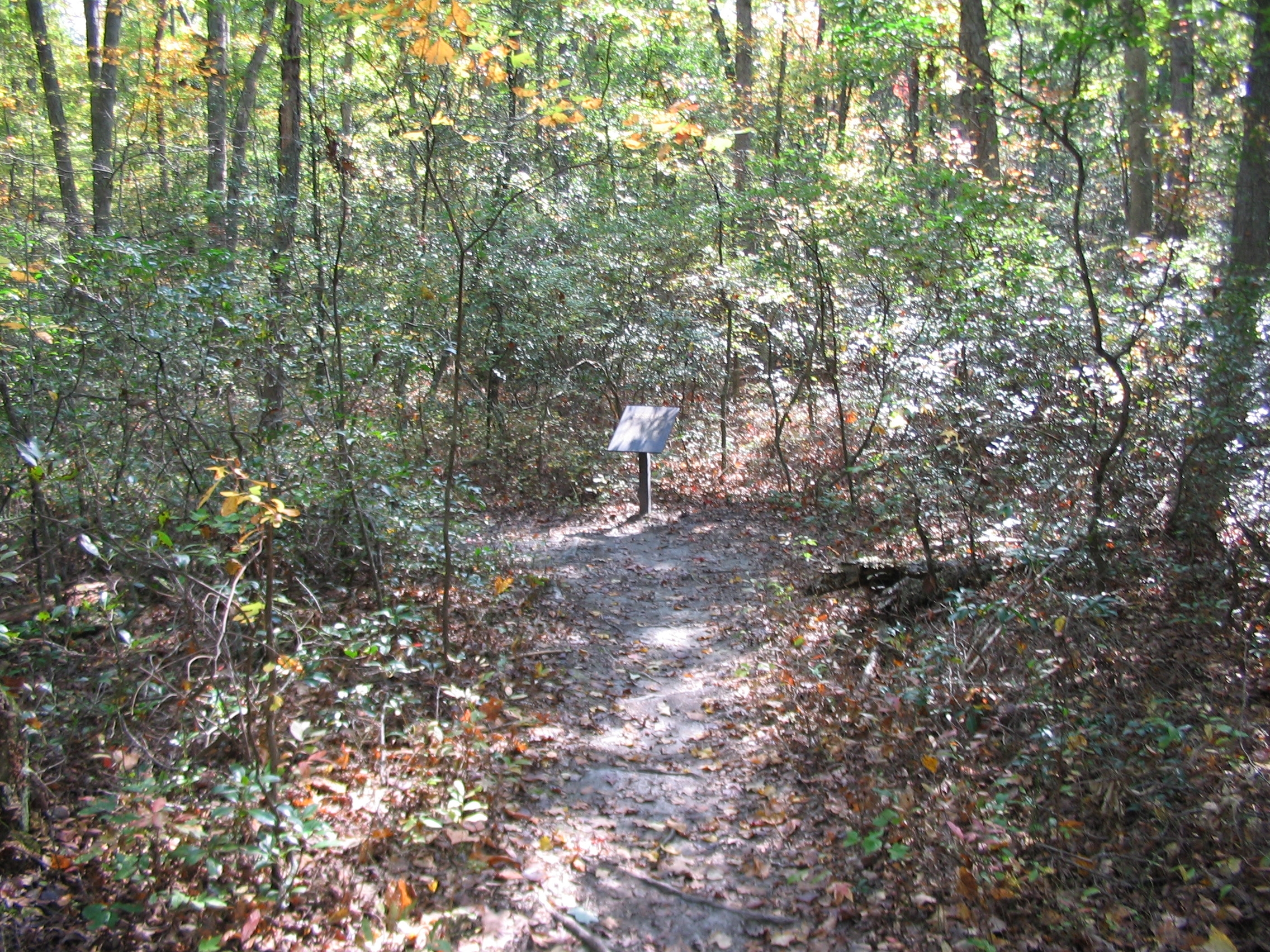 Chancellorsville History Trail - Stop Four