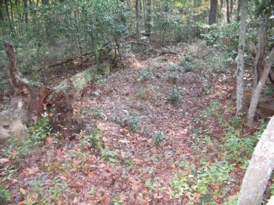 Section of Berry's Earthworks image. Click for full size.