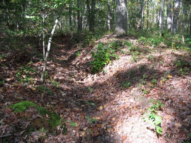 Section of Earthworks near the Marker image. Click for full size.