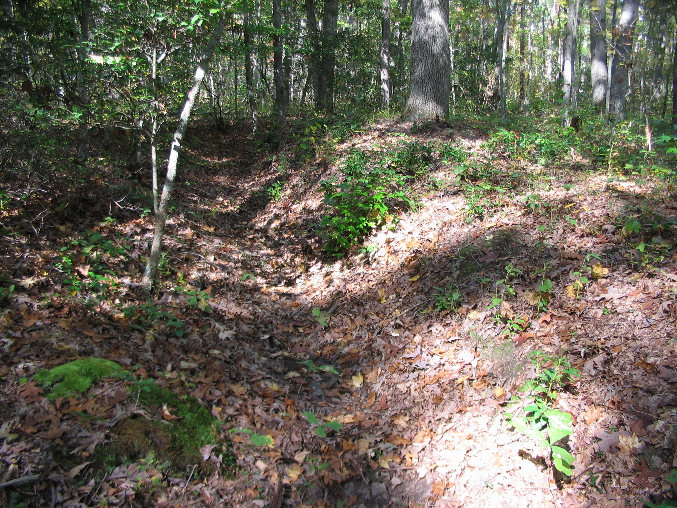 Section of Earthworks near the Marker