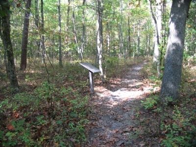 Chancellorsville History Trail - Stop Five image. Click for full size.