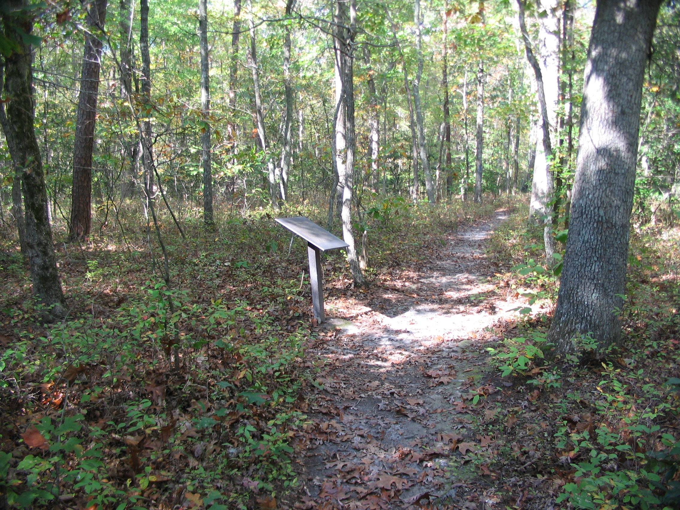 Chancellorsville History Trail - Stop Five