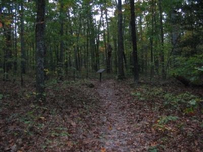 Chancellorsville History Trail - Stop Ten image. Click for full size.