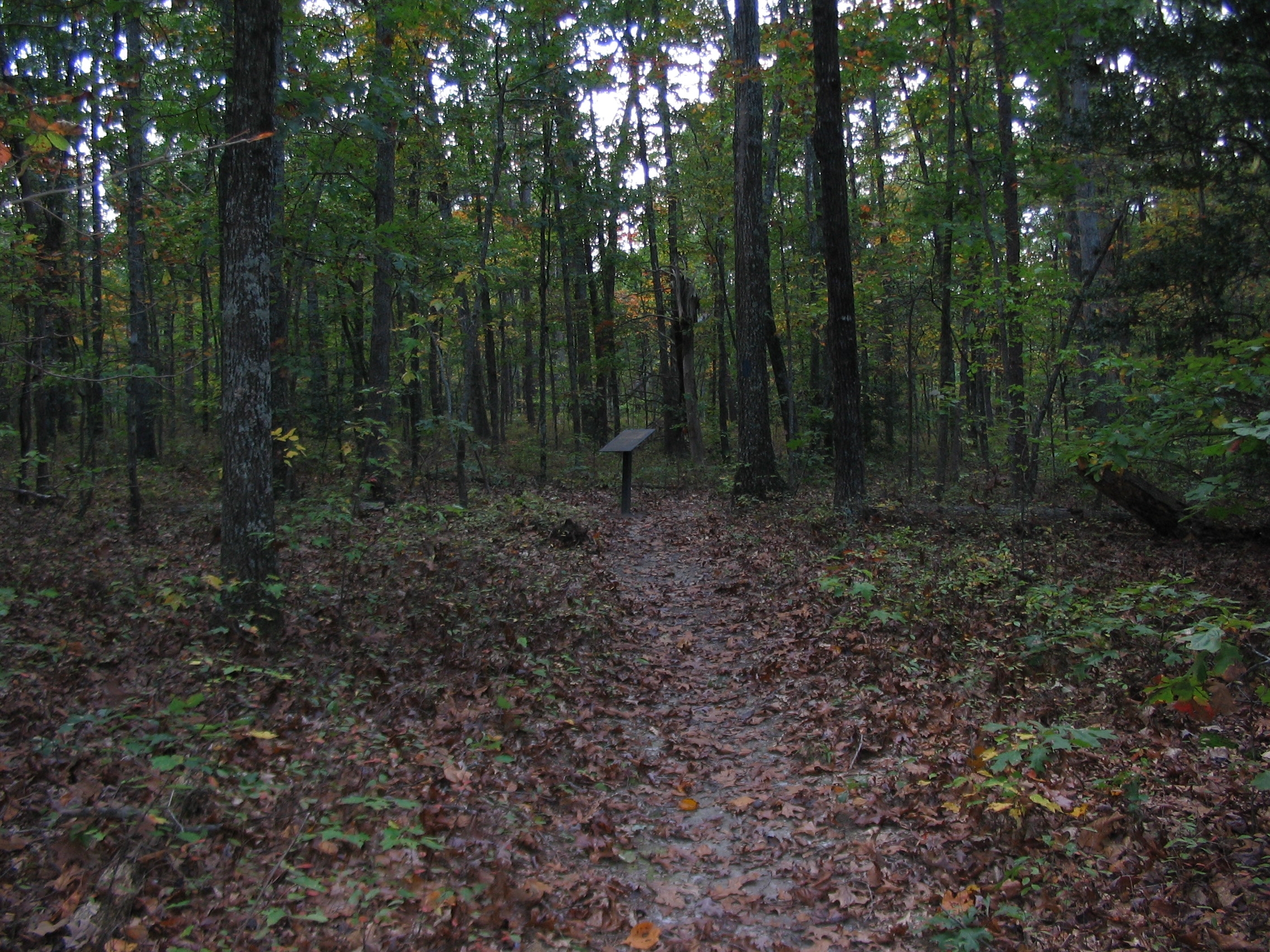 Chancellorsville History Trail - Stop Ten