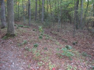 Confederate Earthworks image. Click for full size.