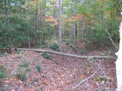 Confederate Trenches image. Click for full size.