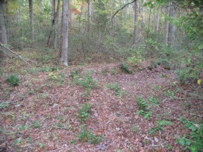 Other Section of the Main Confederate Trenches image. Click for full size.