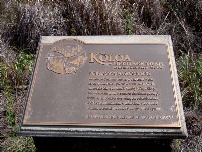 Pu�uwanawana Volcanic Cone Marker image. Click for full size.