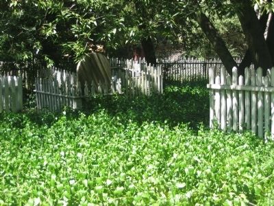 Hacienda Cemetery. Click for full size. Hacienda Cemetery image. Click for full size.