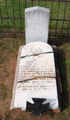 William F. Horn Tombstone image. Click for full size.