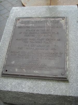 This Liberty Pole Marker. Click for full size. This Liberty Pole Marker image. Click for full size.