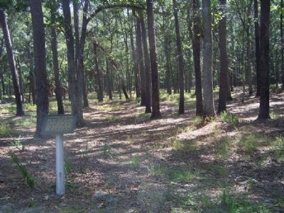 Confederate Land Mines Marker, southside of Fort McAllister image. Click for full size.
