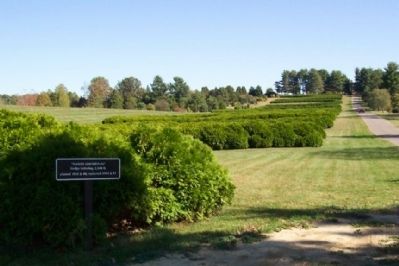 Dawes Arboretum Hedge and Marker, Looking East image. Click for full size.