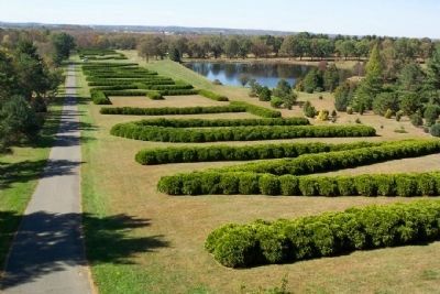 Dawes Arboretum Hedge from Observation Tower, Looking West image. Click for full size.