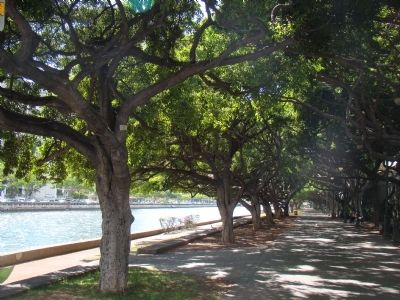 The Ala Wai Canal Promenade. Click for full size. The Ala Wai Canal Promenade image. Click for full size.
