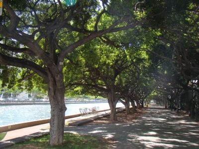 The Ala Wai Canal Promenade image. Click for full size.