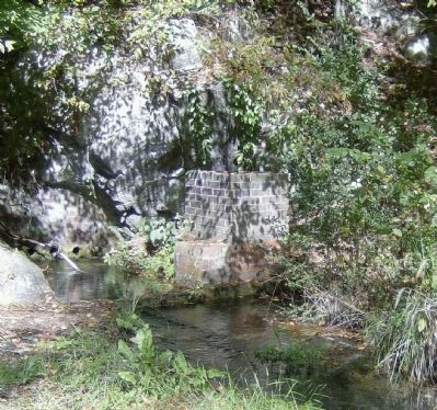 Leet's Spring-Resurgence image. Click for full size.
