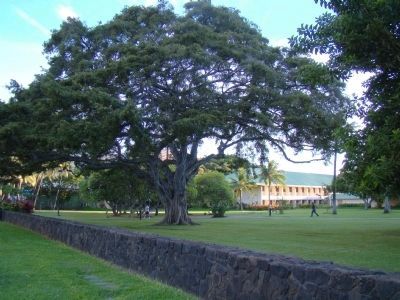 A Small Corner of Fort DeRussy Park image. Click for full size.