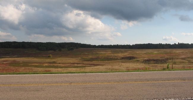 Big Meadows. Click for full size. Big Meadows image. Click for full size.