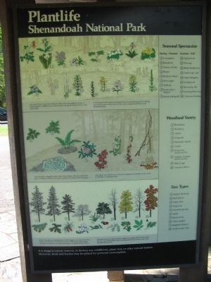 Park Plantlife Information image. Click for full size.