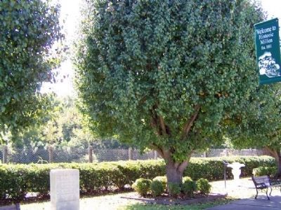 Millen Fountain Marker(r). shares a park location with "Wayside House" Marker (l). Click for full size. Millen Fountain Marker(r). shares a park location with "Wayside House" Marker (l) image. Click for full size.