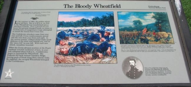 The Bloody Wheatfield Marker. Click for full size. The Bloody Wheatfield Marker image. Click for full size.