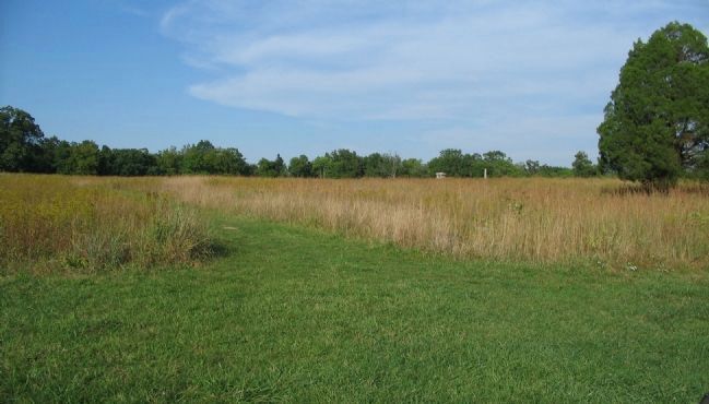 The Heavily Contested Wheatfield. Click for full size. The Heavily Contested Wheatfield image. Click for full size.