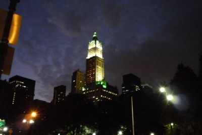 Woolworth Building (night time) image. Click for full size.