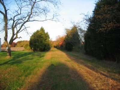 The Unnamed Lane. Click for full size. The Unnamed Lane image. Click for full size.