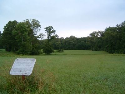 3rd Mississippi Infantry Battalion Marker. Click for full size. 3rd Mississippi Infantry Battalion Marker image. Click for full size.