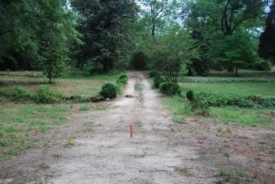 Road Leading Through the Property image. Click for full size.