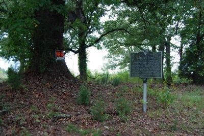 Lindley's Fort / Jonathan Downs Marker image. Click for full size.