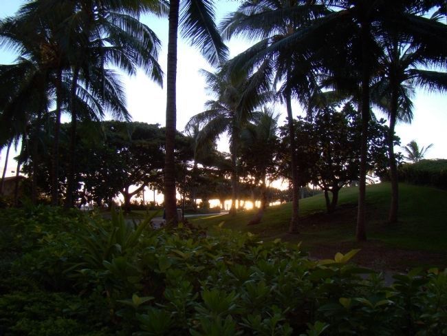 Sunset at Fort DeRussy Park on Wakiki, Honolulu, Oahu Island, Hawaii image. Click for full size.