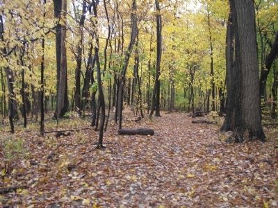 Wooded Section of the Paoli Battlefield. Click for full size. Wooded Section of the Paoli Battlefield image. Click for full size.