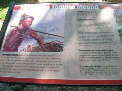 Tocobaga Temple Mound Information Board, left portion image. Click for full size.