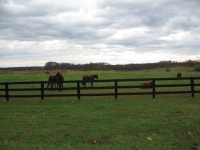 Horses on the Grounds. Click for full size. Horses on the Grounds image. Click for full size.