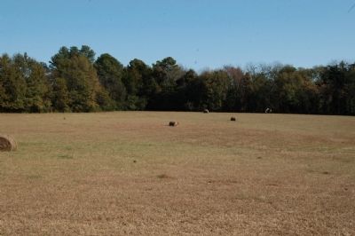 Fields around marker image. Click for full size.