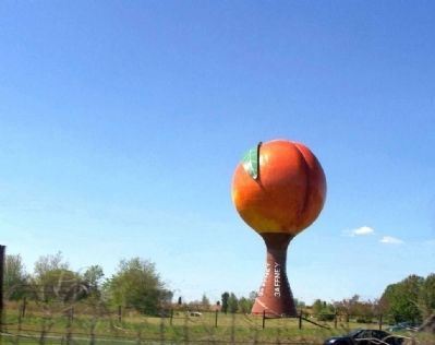 Millwood Park Marker, at the base of The Peachoid image. Click for full size.