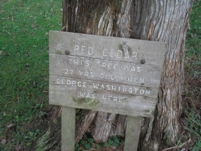 Red Cedar Marker image. Click for full size.