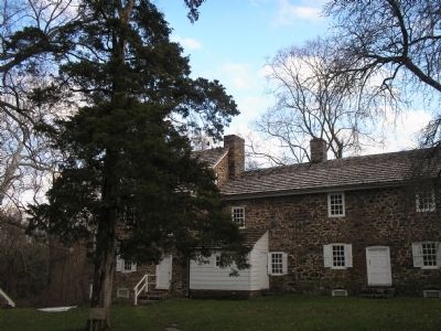 Witness Tree in Washington Crossing Historic Park image. Click for full size.