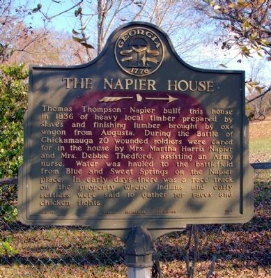 The Napier House Marker image. Click for full size.