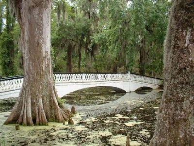 Magnolia Plantation, Gardens Footbridge. Click for full size. Magnolia Plantation, Gardens Footbridge image. Click for full size.