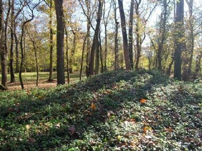 Ruins of foundation covered by periwinkle. Click for full size. Ruins of foundation covered by periwinkle image. Click for full size.