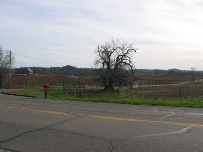 View of the Shenandoah Valley. Click for full size. View of the Shenandoah Valley image. Click for full size.